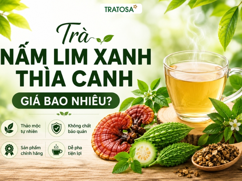Trà nấm lim xanh thìa canh giá bao nhiêu? Giá bán, cách dùng và nơi mua uy tín Trà nấm lim xanh thìa canh giá bao nhiêu và những yếu tố cần quan tâm trước khi mua