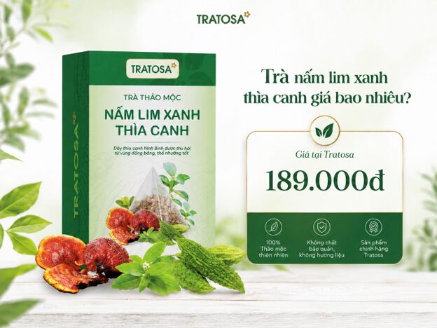 Trà nấm lim xanh thìa canh giá bao nhiêu? Giá bán, cách dùng và nơi mua uy tín Trà nấm lim xanh thìa canh giá bao nhiêu tại thời điểm hiện nay