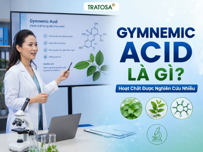 Uống dây thìa canh có giảm cân không? Hiểu đúng trước khi sử dụng Hoạt chất Gymnemic Acid trong dây thìa canh được nhiều nghiên cứu quan tâm