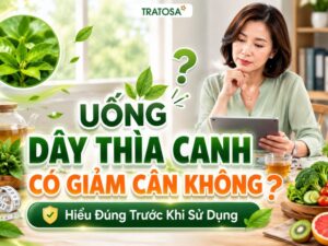 Uống dây thìa canh có giảm cân không và vai trò trong kiểm soát cân nặng