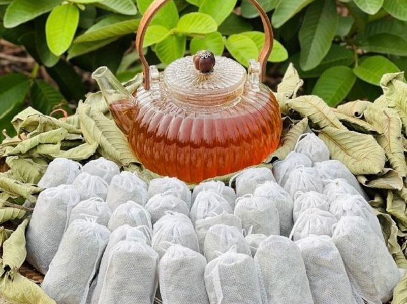 7 Loại Trà Dành Cho Người Tiểu Đường Nên Uống Mỗi Ngày Trà lá ổi hỗ trợ kiểm soát mức tăng đường huyết sau bữa ăn