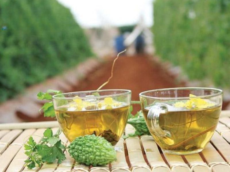 7 Loại Trà Dành Cho Người Tiểu Đường Nên Uống Mỗi Ngày Trà khổ qua – thức uống thảo mộc có vị đắng đặc trưng