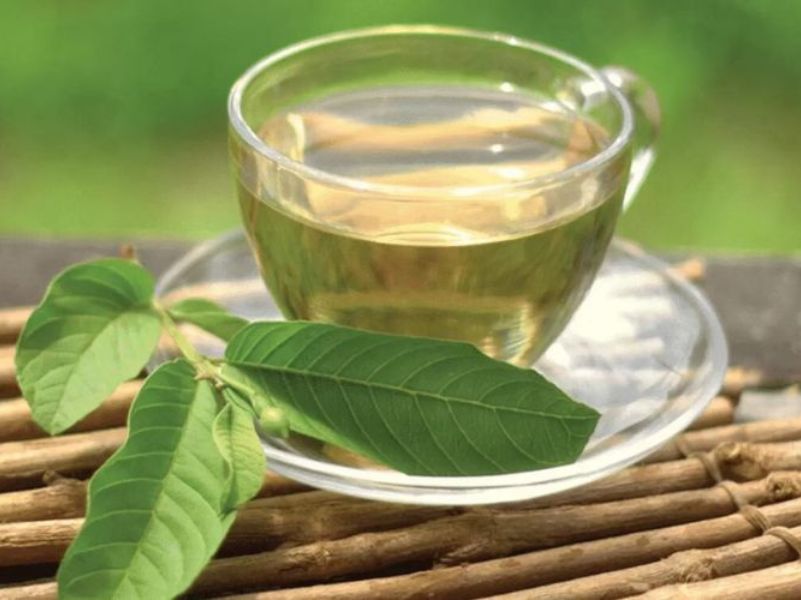 Trà Thảo Mộc Cho Người Bị Tiểu Đường Nên Uống Loại Nào Để Hỗ Trợ Giảm Đường Huyết? Tách trà lá ổi pha từ lá ổi tự nhiên