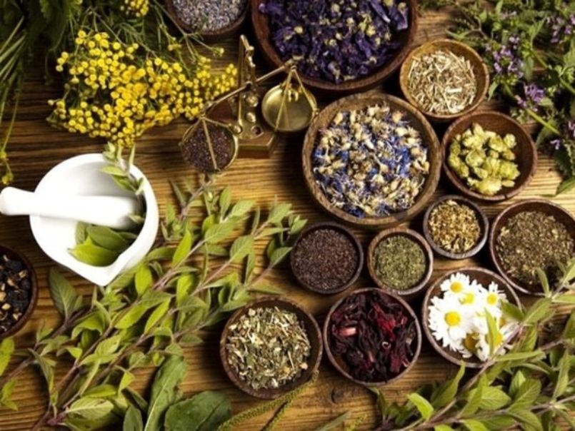 Những loại trà thảo mộc tốt cho gan và đường huyết đáng tham khảo trà thảo mộc tốt cho gan và đường huyết