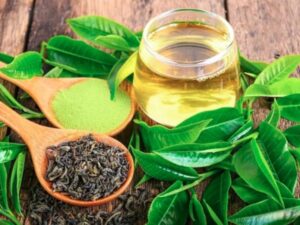 Trà xanh pha loãng dễ uống cho người cao tuổi