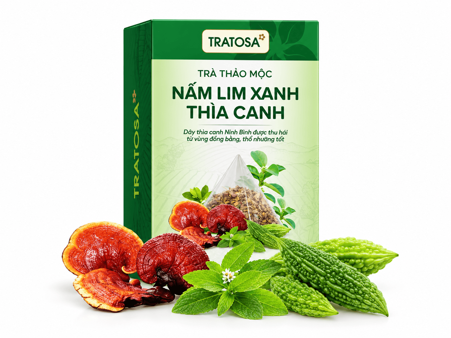 tieu duong type 2 co chua duoc khong