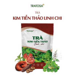 Trà Kim Tiền Thảo Linh Chi