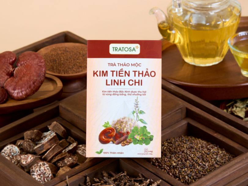 Hộp trà Kim Tiền Thảo Linh Chi Tratosa đặt cạnh ấm trà và các nguyên liệu thảo mộc